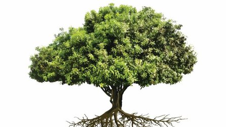 9 Vectors of AI Getting to The Root of Learning Innovation