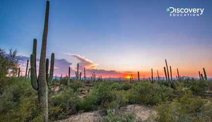 Students at Arizona’s Riverbend Prep Begin School Year with New Digital Resources from Worldwide EdTech Leader