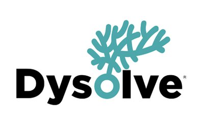 Dysolve® is a game-based AI program that identifies and corrects dyslexia