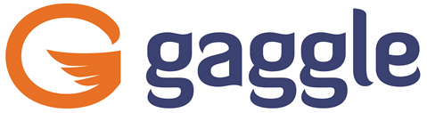 Gaggle Partners with Clayton County Public Schools to Manage Student Safety on School-Provided Technology and Collaboration Platforms