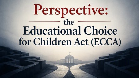 Will the ECCA Create the New Power Brokers of K-12 Education?