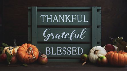 This Year, I am Truly Grateful for… Everything