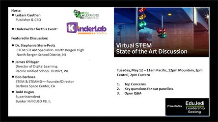 Working through the Challenges of Virtual STEM: A State-of-the-Art Discussion